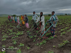 Organic Farming: A Guide to Sustainable Practices