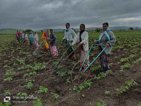 Organic Farming: A Guide to Sustainable Practices