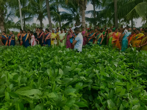Erjik: How Smart Sakhi is Transforming Women’s Lives Through Group Farming