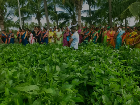 Erjik: How Smart Sakhi is Transforming Women’s Lives Through Group Farming
