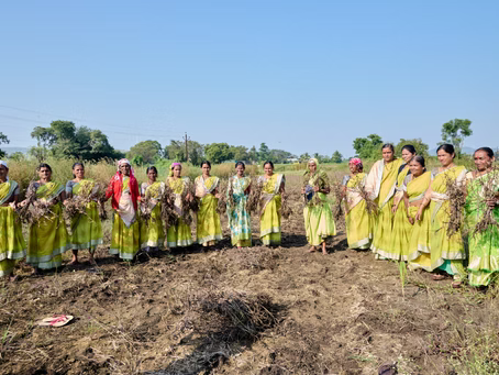 Why Farm-to-Kitchen Products Are the Future of Healthy Living