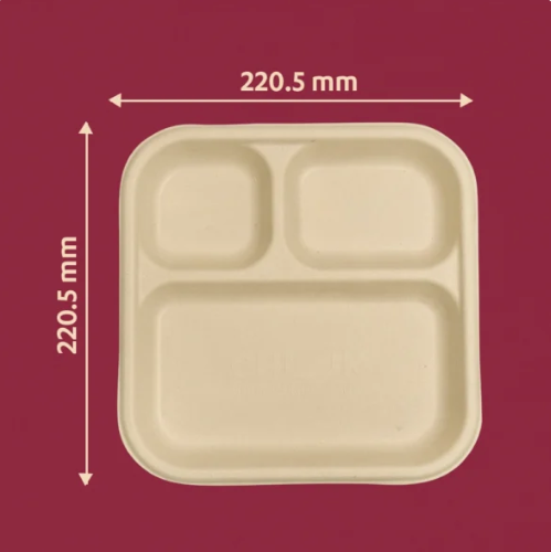 3-Compartment Bagasse Meal Tray