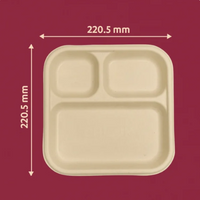 3-Compartment Bagasse Meal Tray