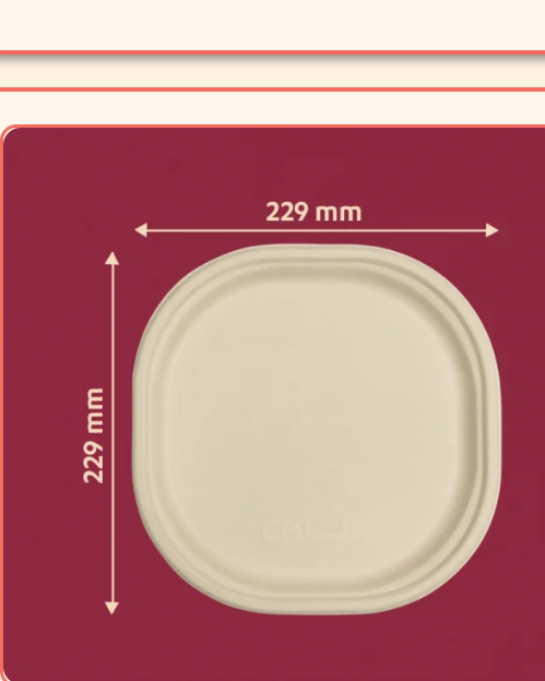 9 inch Round Bagasse Plate
