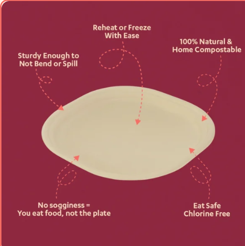 9 inch Round Bagasse Plate