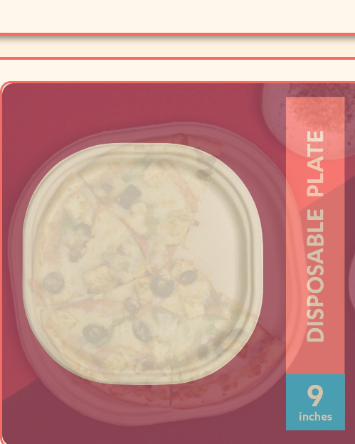 9 inch Round Bagasse Plate