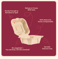 Bagasse Clamshell 6*6 Food Container