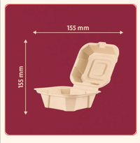 Bagasse Clamshell 6*6 Food Container
